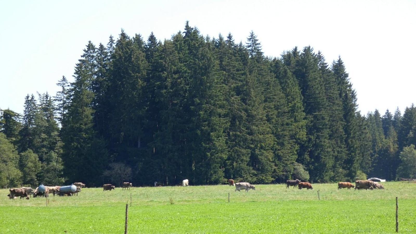 Ferienwohnung Nr 5, Lechbruck-Gruendl, Allgaeu Prem Kültér fotó
